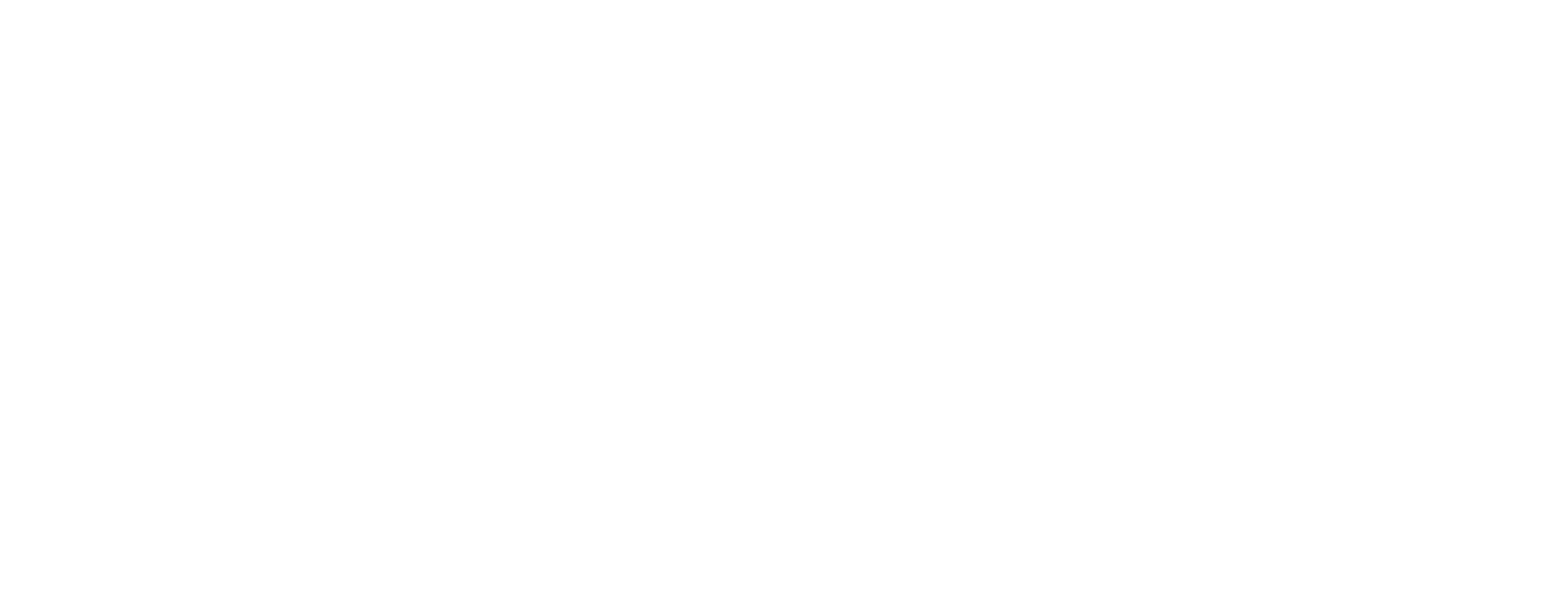 light logo